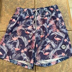 Ron Jon Blue and Pink Flamingo Swim Shorts